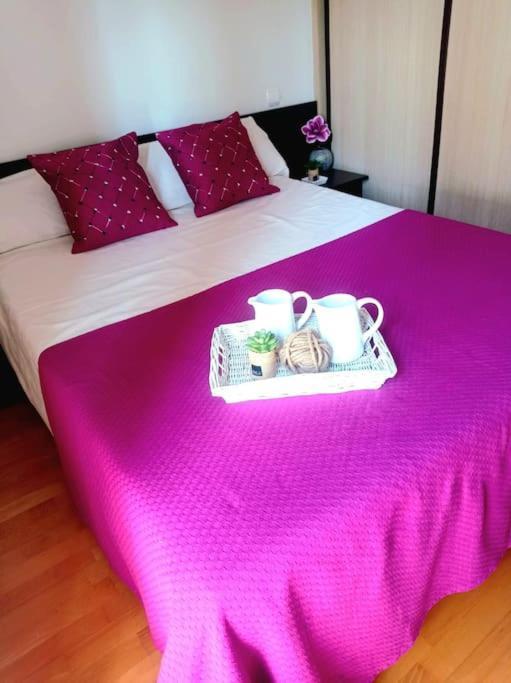 Acogedor Apartamento Con Piscina Y Garaje Apartman Huesca Kültér fotó